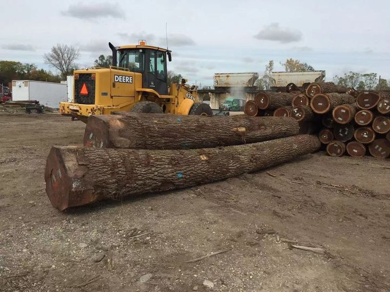 China Dongguan Yinghui Wood Industry Co., Ltd. Perfil da companhia
