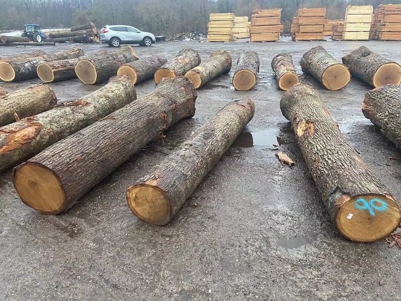 China Dongguan Yinghui Wood Industry Co., Ltd. Perfil da companhia
