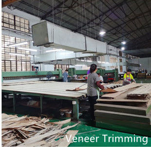 Dongguan Yinghui Wood Industry Co., Ltd. linha de produção do fabricante
